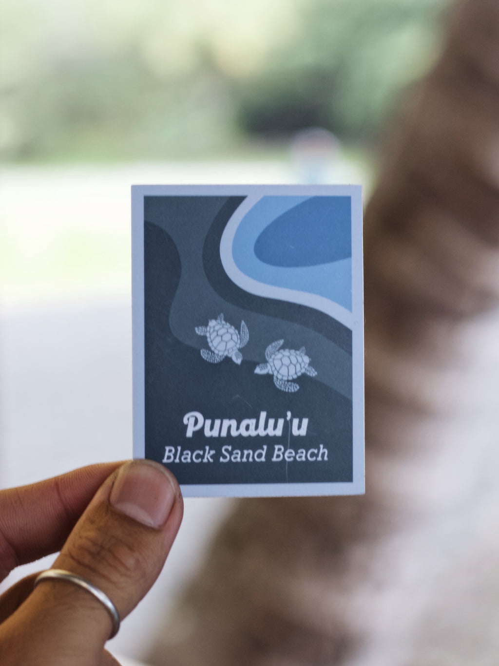 Punalu'u Black Sand Beach Turtles Sticker